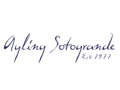 Ayling International Property Services Ayling International Property Services
