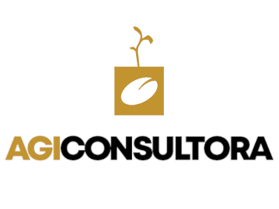 AGI Consultora